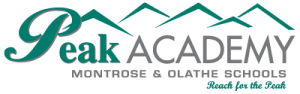 Peak Virtual Academy Logo
